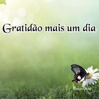 Gratidão mais um dia