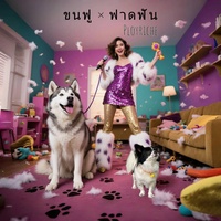 ทาสขนฟู