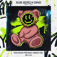 Too Much Raving (feat. TINY Vocals)