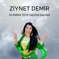Dıjorda Teye Salına Salına