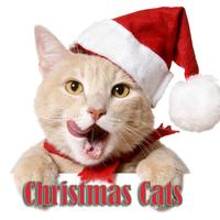 Jingle Bell Rock