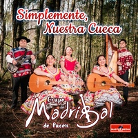 La Niña de Trenzas Negras