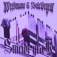 Suicide Year - Slowed + Reverb