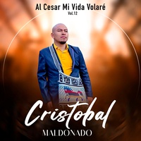 Cielo y Tierra Pasará