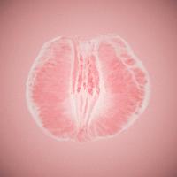Me Tiene Loco Tu Vagina