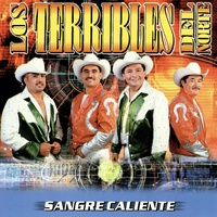 Sali De Mi Tierra