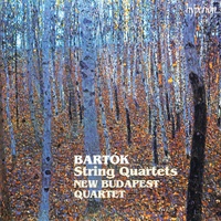 Bartók: String Quartet No. 5, Sz. 102: II. Adagio molto