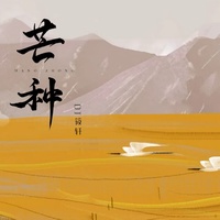芒种(DJ筱轩版)
