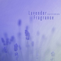 Lavender Fragrance