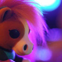 Petit Poney