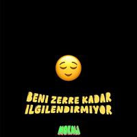 Beni Zerre Kadar İlgilendirmiyor