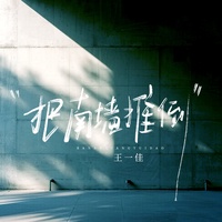 把南墙推倒 - 语录版