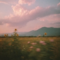 man i need - acoustic