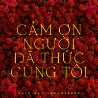 Cảm Ơn Người Đã Thức Cùng Tôi
