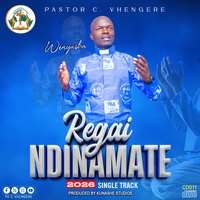 Regai Ndinamate