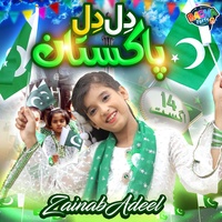 Dil Dil Pakistan