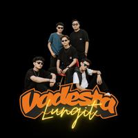 Lungit