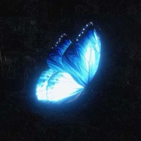Lullaby