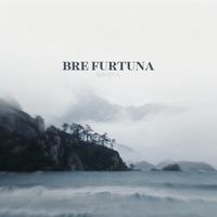 Bre Furtuna