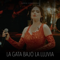 La Gata Bajo La Lluiva