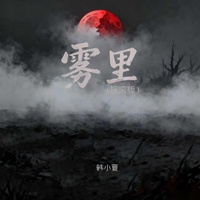 雾里 - 摇滚版