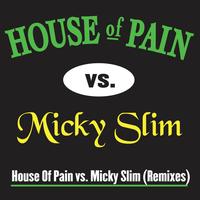 Jump Around - House of Pain vs. Micky Slim Radio Edit