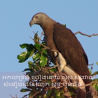 អកលាទ្រនំ ច្រៀងដោយ សួស សងវាចា សំនៀងដើម លោក សុទ្ធ ប៊ុនឆឹង