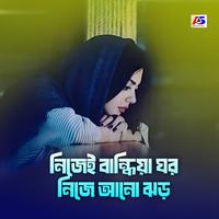 নিজেই বান্ধিয়া ঘর নিজে আনো ঝড়
