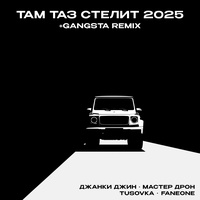 Там таз стелит 2025