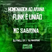 Homenagem ao Arana - Funk É União