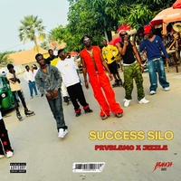 Sucess Silo