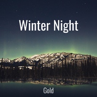 Winter Night