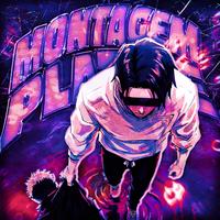 MONTAGEM PLATINE (Slowed)