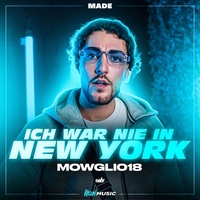Ich war nie in New York