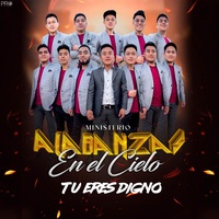 Llegaste Tu