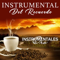Amar y Querer - (Instrumental)