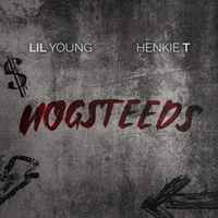 Nogsteeds