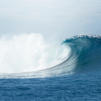 Hawaii Surf