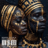 Now Or Never - Manoo Spicy Remix