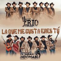La Que Me Gusta Eres Tu