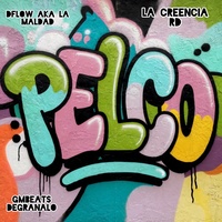 Pelco