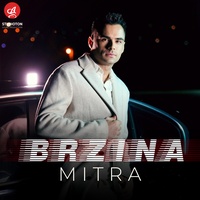 Brzina