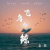 飞鸟与鲸(剪辑版)