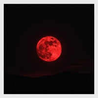 SCARLET MOON