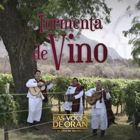 Tormenta De Vino