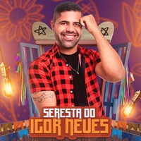 Vou Não Quero Não Posso Não (Minha Mulher Não Deixa)