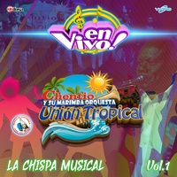 Mix Merengues Conviteros: Somos Bebedores / Los Conviteros - En Vivo