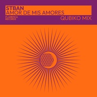 Amor De Mis Amores - Qubiko Mix