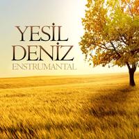 Yeşil Deniz - Enstrümantal Duygusal