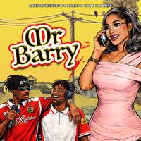 Mr barry